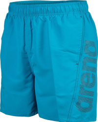 Arena Fundamentals Arena Logo Boxer R Turquoise/Dark Olive