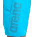 Arena Fundamentals Arena Logo Boxer R Turquoise/Dark Olive