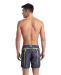 Arena Beach Boxer Allover Printed Pro Black Multi/Soft Green